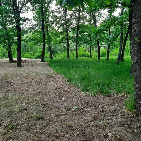 Suess Apartman Kovanluk